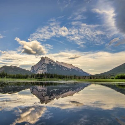 reflection